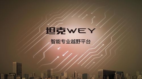 靴子落地，坦克來了 技術開發(fā)的破局與深耕